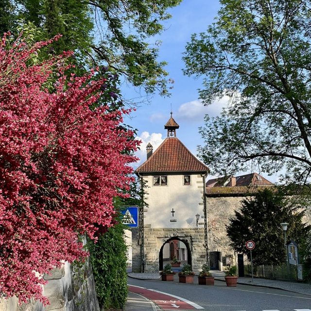 Kapuzinerkirche, Fahrradschutzstreifen in der Aufkircher Straße und Hallo Ü &#8211; Neues aus dem Gemeinderat