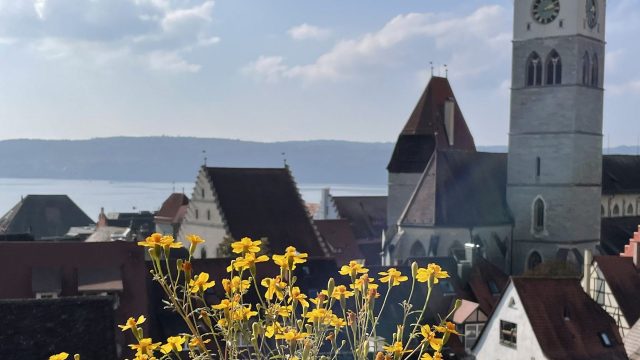 Einladung zum Neujahrs-Ochsengschwätz mit Günter Hornstein am 19.01.2023