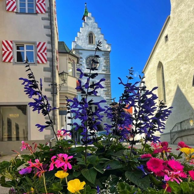 Stammtische im Sommer – bei schönem Wetter draußen!