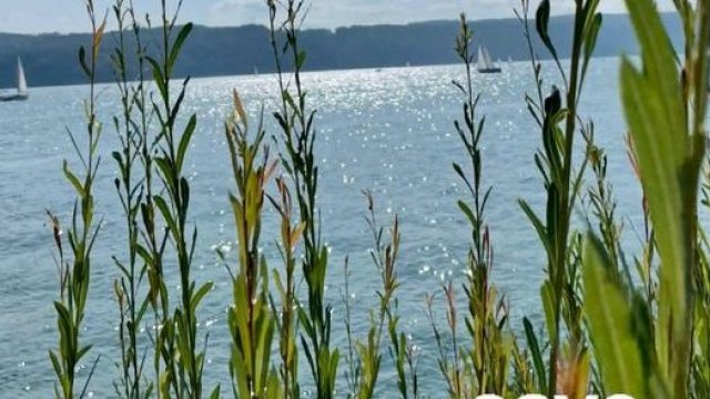 Forum für Frauen – 16.06.2023 ab 18 Uhr