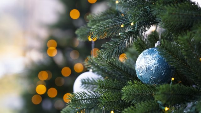 Wir wünschen Ihnen eine gesegnete Adventszeit