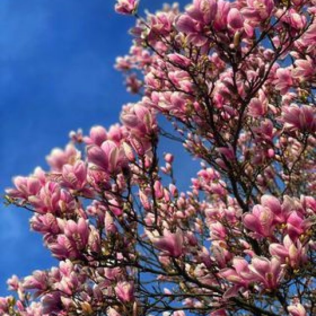 Bürgerstammtisch am 11.04.2024 ab 19:00 Uhr im Weinstein