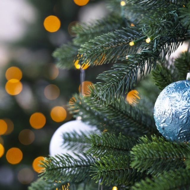 Wir wünschen Ihnen eine gesegnete Adventszeit