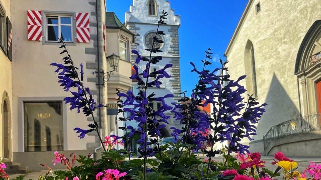 Stammtische im Sommer – bei schönem Wetter draußen!
